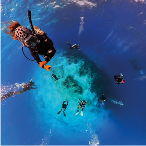 Trippy Divers Mexico | Cozumel Diving Academy